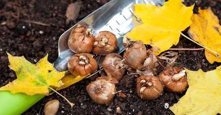 217b45d342677768cf534619967418a0_12.10.25