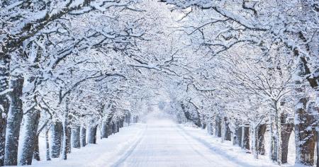 218d4852ea1c488f20e3a7412323c630_27.01.26