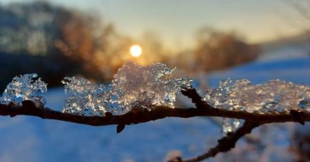 21bc76e0f332db0fdafe647e86e29f3c_21.01.26_1