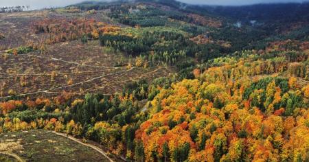 Гороскоп на 21 листопада для всіх знаків зодіаку: день, коли важливо контролювати емоції