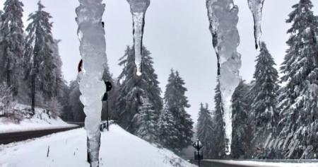 243a07c71c4d1ea07db0889dc8826b94_19.01.26_1