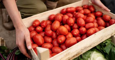 2456dbd1ea365278638e844b58514e60_25.10.25