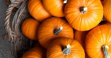 8 осінніх продуктів, які природно допомагають знизити рівень цукру в крові