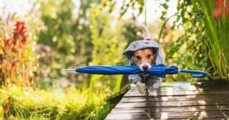 260a82c55156806157215061cf98e926_15.10.25