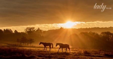 290c678c49532eec9d9c0ccb3497d119_13.10.25