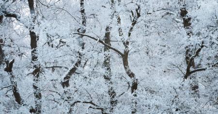 2a1e01e56e7ef3c8ebd4d037b822993b_12.01.26