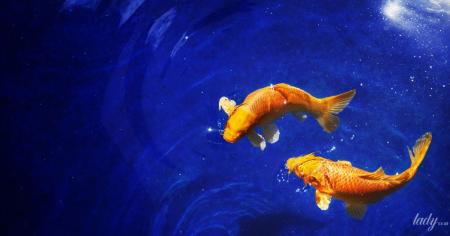 Якому знаку зодіаку пощастить 24 листопада