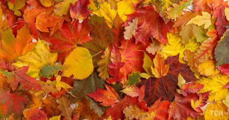 2ab73e1b282eedf08647cf68eeb6fc48_26.10.25