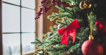 2b749b5c904bc37d4f2c7667d53a6b31_28.12.25_1