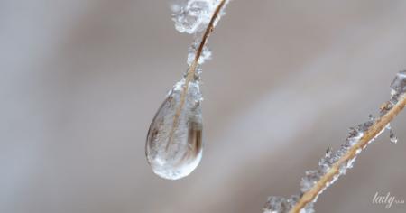 2e31dc970144fc1cb35342d99b5a82b5_06.01.26