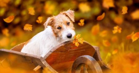 Буде аномально тепло: до України йде друге 