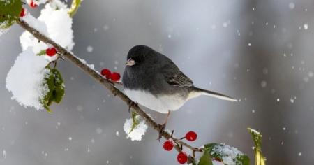 2f8d558f3073d2f3c7f4e070b875a56f_05.01.26_1