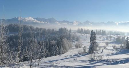 307001a91739faf49afa9a4e6d5c24a3_18.01.26