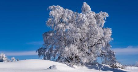 Гороскоп на 6 лютого для всіх знаків зодіаку: день успішних фінансових операцій