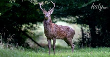 Що зірки нам пророкують: гороскоп на 27 жовтня – 2 листопада 2025 року