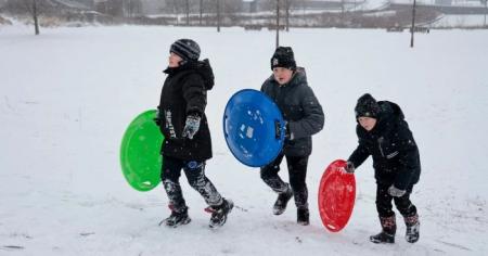 33919da6ced922f0f45694e7f93895af_13.01.26_1