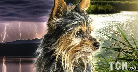 346c154c3ea8c7553aaccb1d4e559f4e_26.11.25