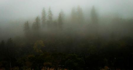 353c55c6bab9a75289b43f9e18c67b26_22.12.25_1