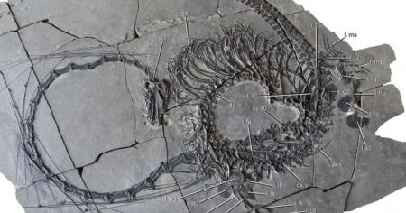 3614f3d7901e5139f500b0a12f2b6e9f_11.10.25_1