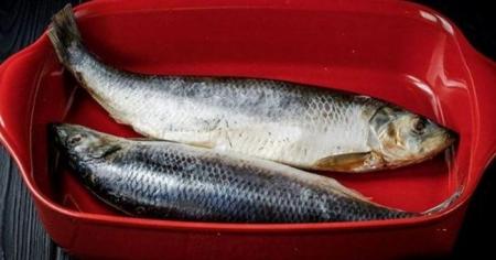 36a9227f5fee112ae5864bb4cf39d37d_05.02.26_1