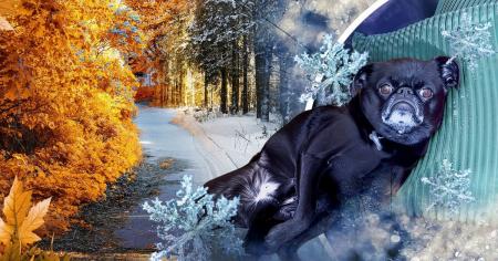 37a8abd6f93b3083898b45bba187bfec_23.11.25