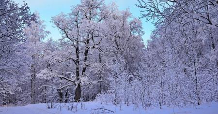 3a8aa269824799a0190da9a8d5aa47d0_22.11.25