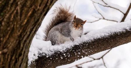 3a9c7425f20904ce67a7c1240c3a1ca9_19.12.25_1