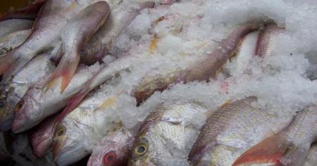 3aefb03024c53907fa868f89c9511e1b_22.01.26_1