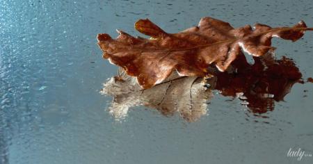 3b48df099645df354fa943dde5e71296_07.11.25