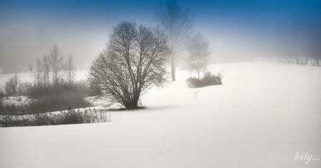 3bc0f5d7492405b3de2a8a2290746668_26.12.25_1