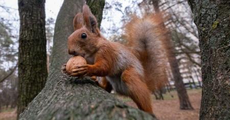 3e9713c3ee71d747204fda03e71e5dd3_22.10.25