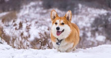 408c944dc3979a0e7f1701f6f85c8cac_09.12.25_1