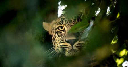 44f619f9e5c2b56917e36ab5a10833af_22.12.25_1