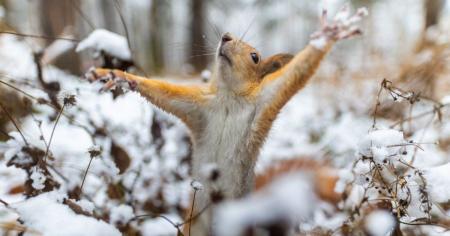 45b6721786012d1fdc02f7ddef3e582e_13.10.25