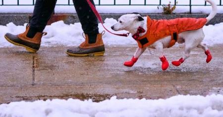 46f8c06dcc6a306e3d9c522246eb5eeb_09.01.26_1