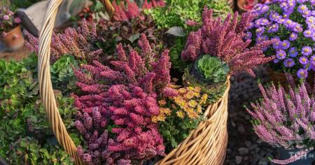 47fc8be36e68150b075b4015b1c0ecab_12.10.25