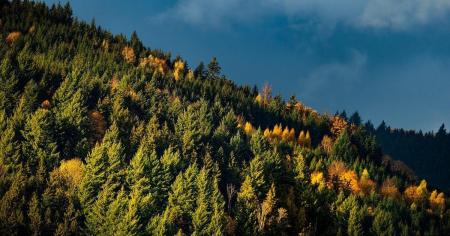 492f53954b9ad0cc8e605ebe18a2db0e_08.11.25