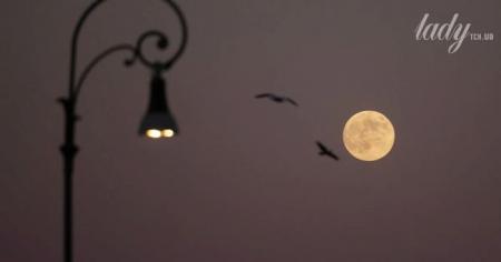 4a994171b5c1e10cd96a1a49caaf9ddf_09.12.25_1