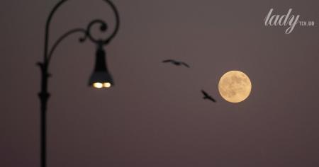 4a994171b5c1e10cd96a1a49caaf9ddf_26.11.25