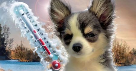 4c434a7c3b4d90418582cd093072db1f_22.11.25