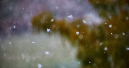 4c636cfd405d815e8d80ae9d90a0779f_14.12.25_1