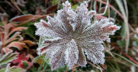 4c6b8caa798a439e3af04defae297fda_15.10.25