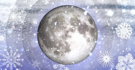 4cf946431107353e166cd9caa1196975_27.01.26_1