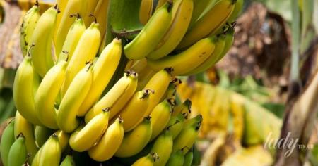 Йод: в яких продуктах є і навіщо він потрібен організму