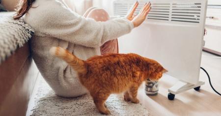 4f3c4186fa2b1af42e3c5413df76d2fb_28.10.25