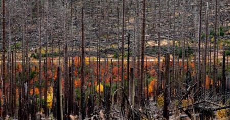 50368bcdf98b51098ab32fc29d1e763d_20.11.25