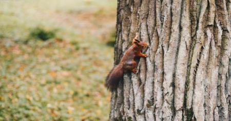 50645855e37946b91c418f5e3c8c7b10_12.10.25