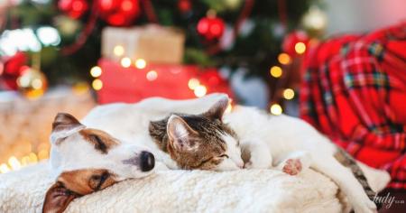 52663e6bd59ce2ee81b1035e993a9997_01.01.26