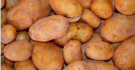 53e54dfe2c5486472e46e6d760bffd15_28.01.26_1