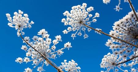 5514ac5c15cceeefe0cf7ce521ef0b00_20.01.26